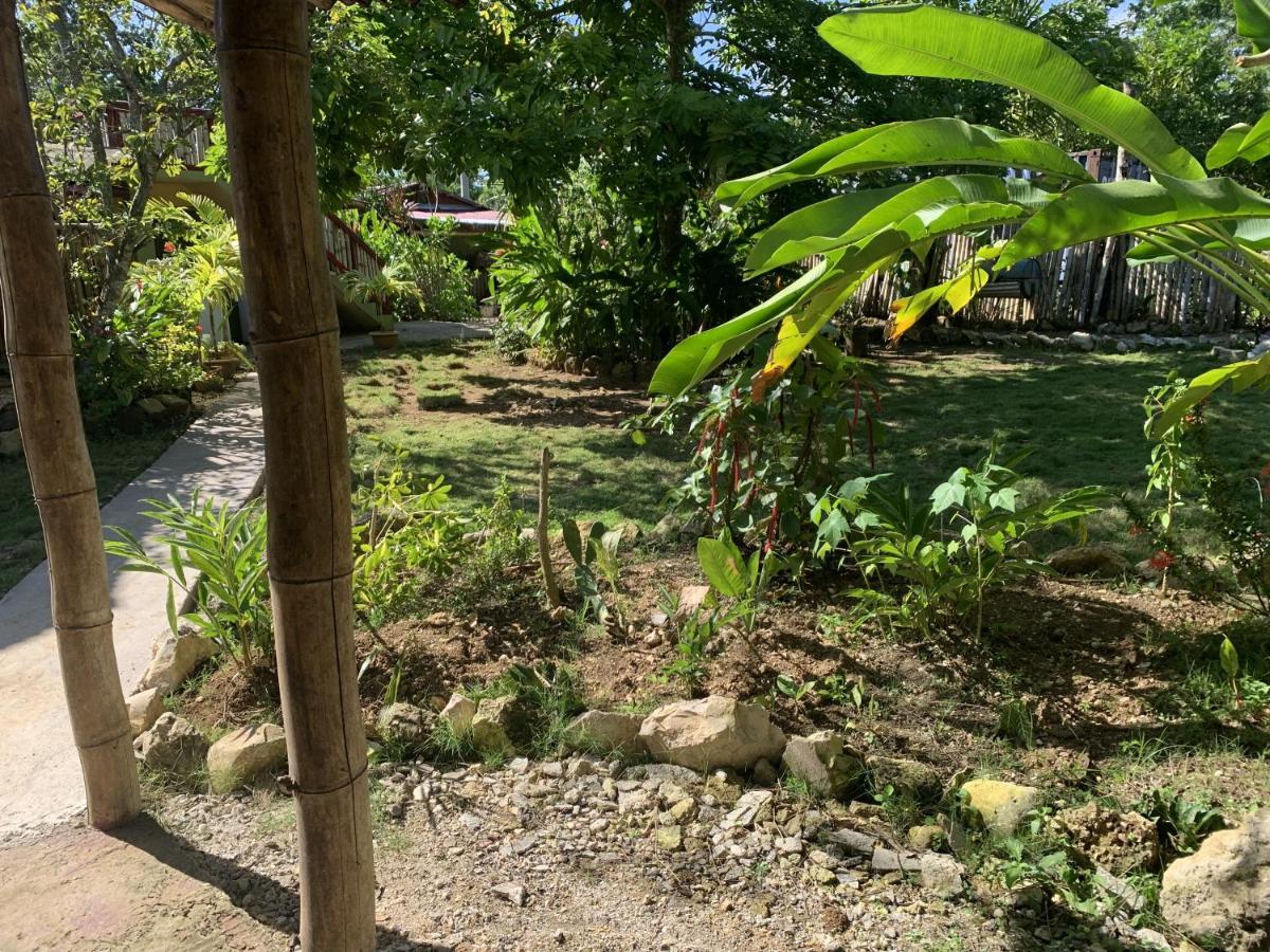 Can Jam Retreat Bed & Breakfast Negril Exterior photo