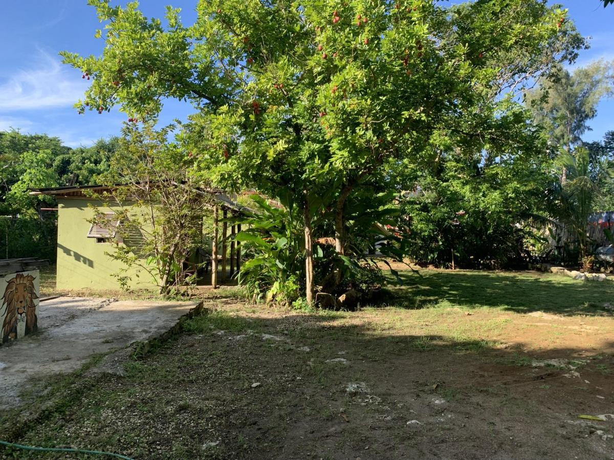 Can Jam Retreat Bed & Breakfast Negril Exterior photo