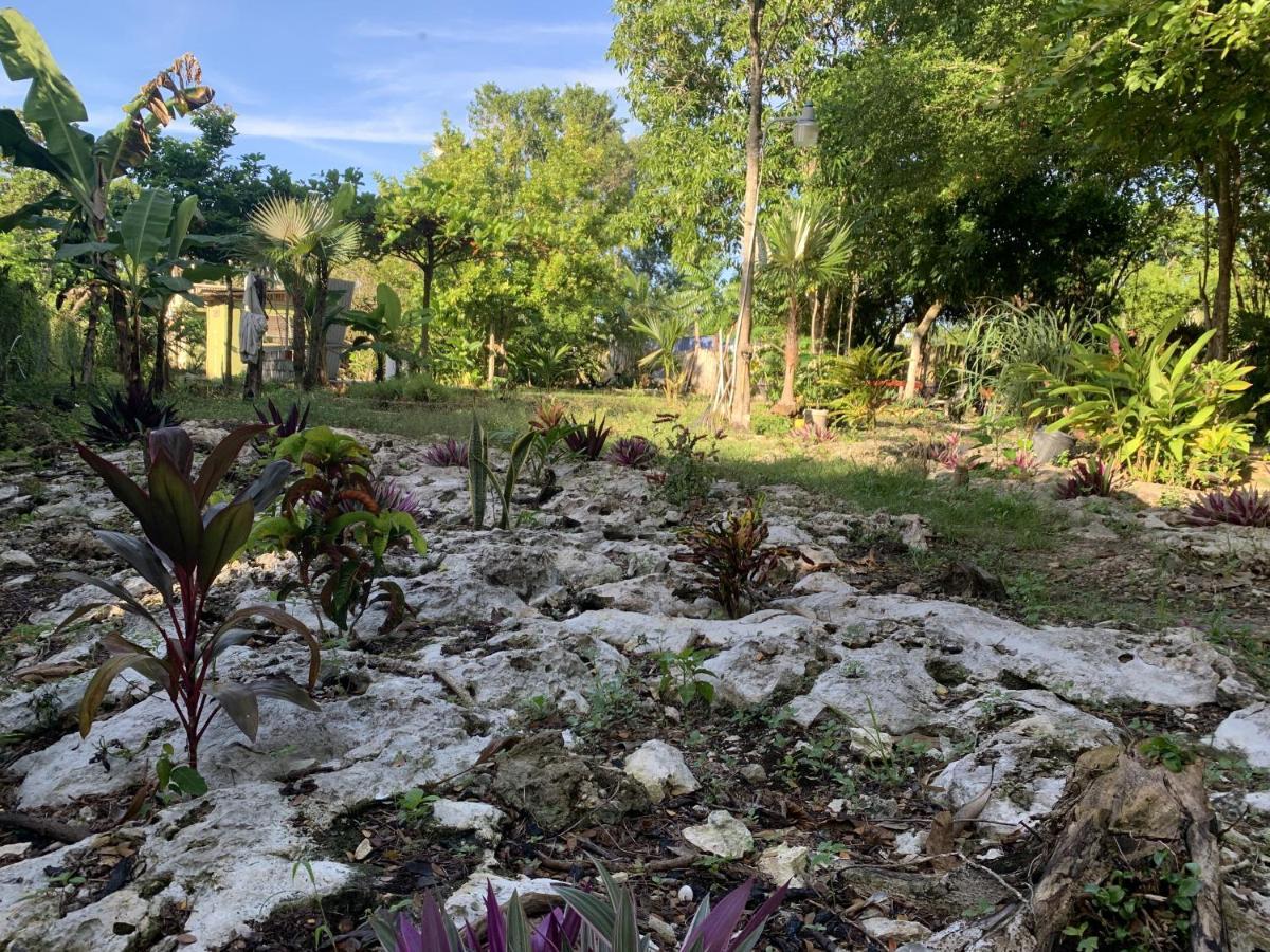 Can Jam Retreat Negril Exterior photo