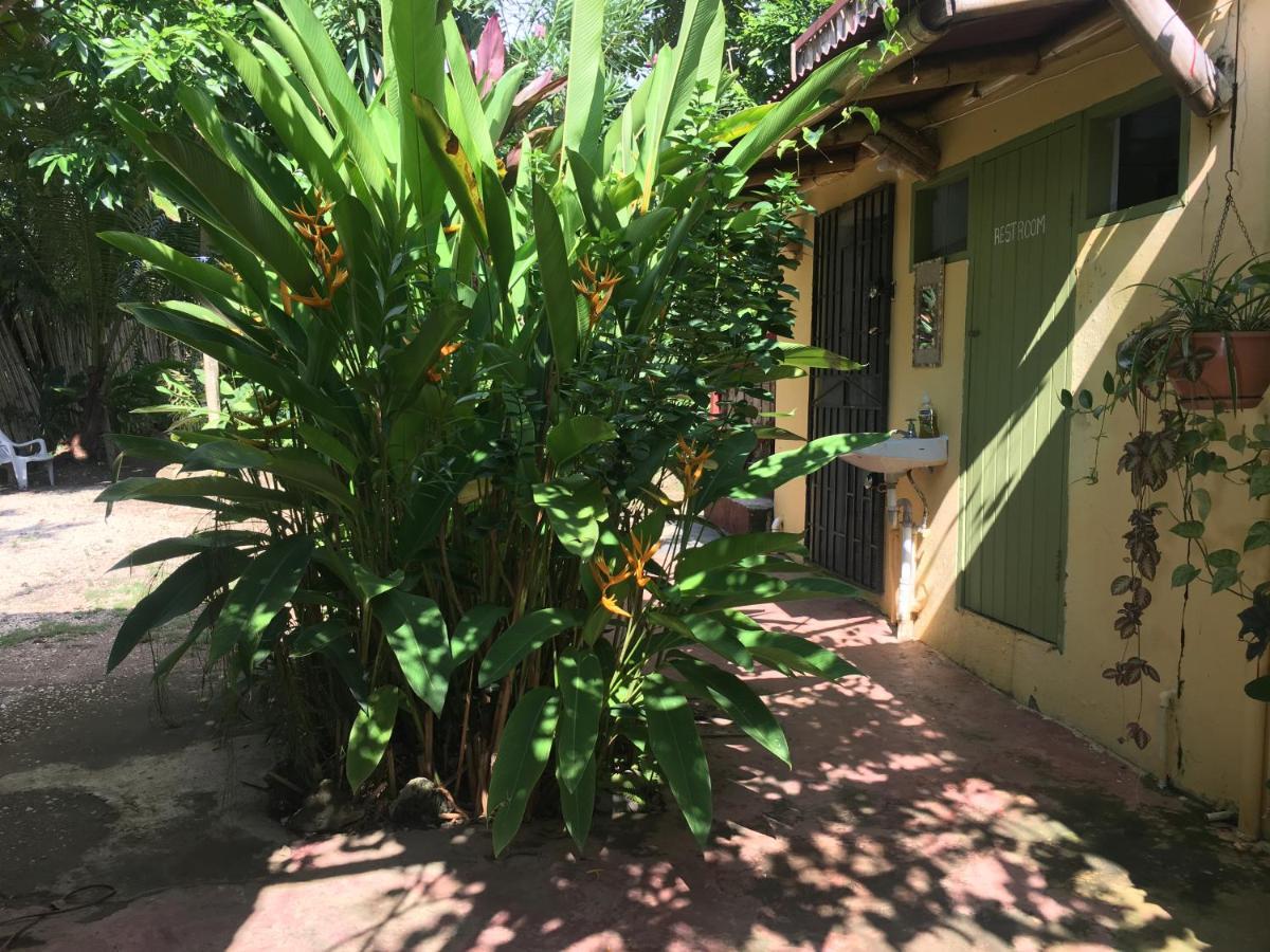 Can Jam Retreat Bed & Breakfast Negril Exterior photo